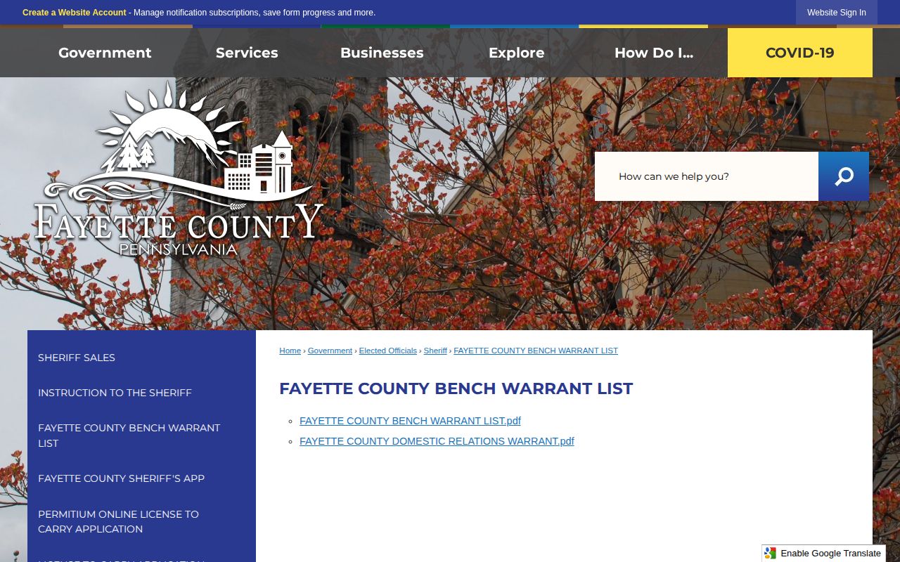 Fayette County bench warrant list official record source